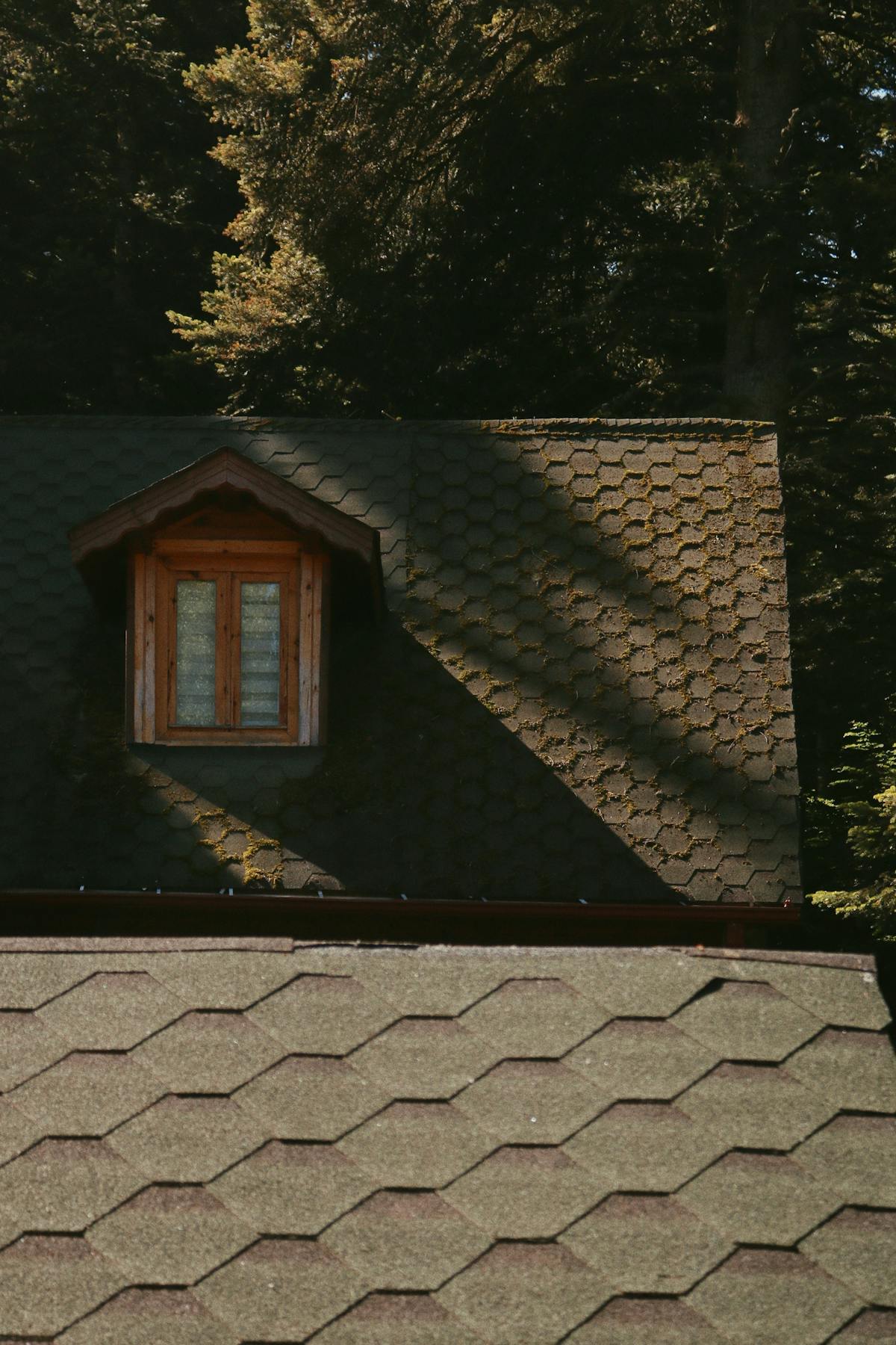 Weathered asphalt shingles showing curling and granule loss on a residential roof